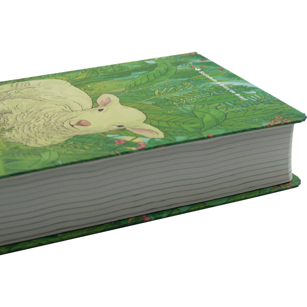 Bíblia Bilíngue NTLH