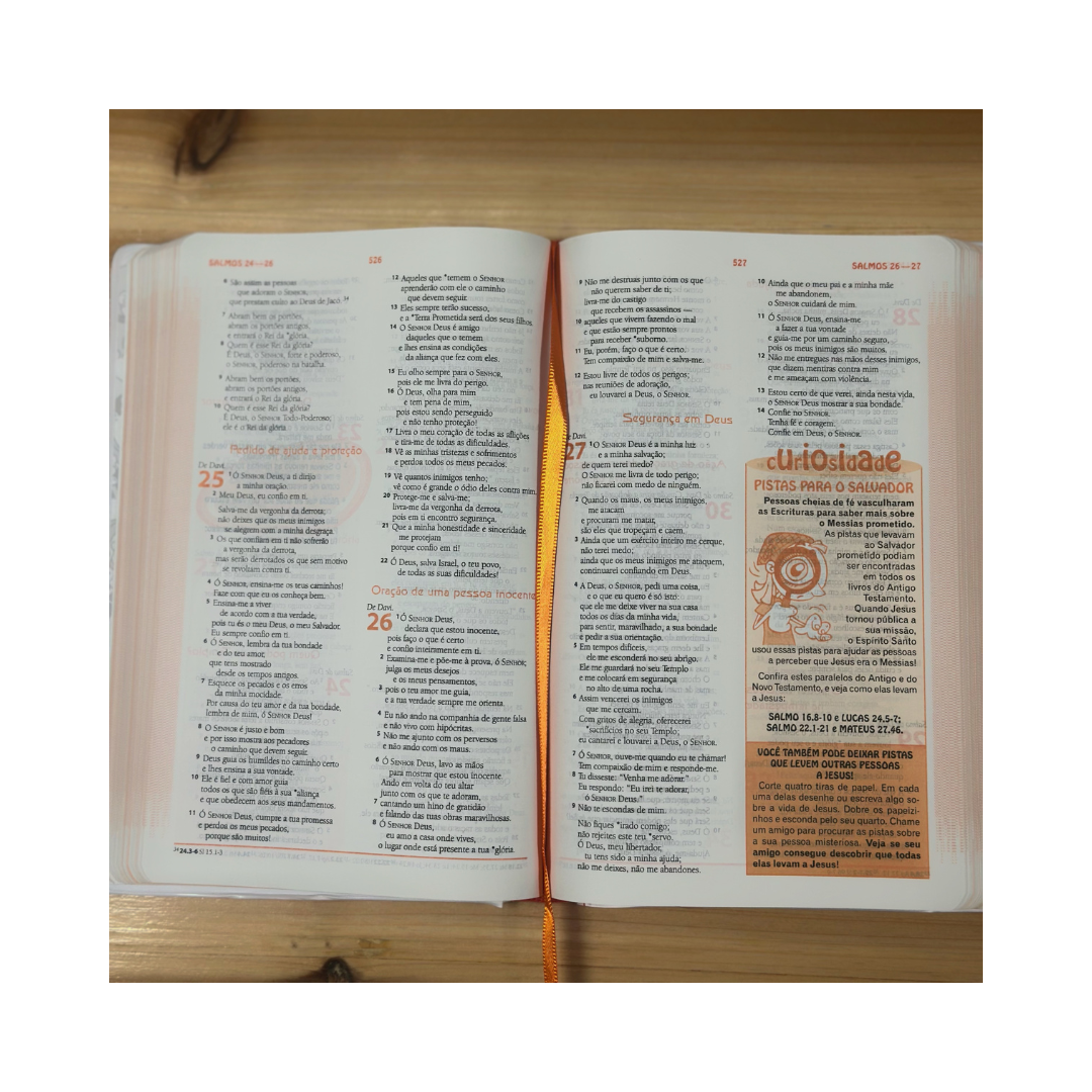 The Bible of Discoveries (Boys)