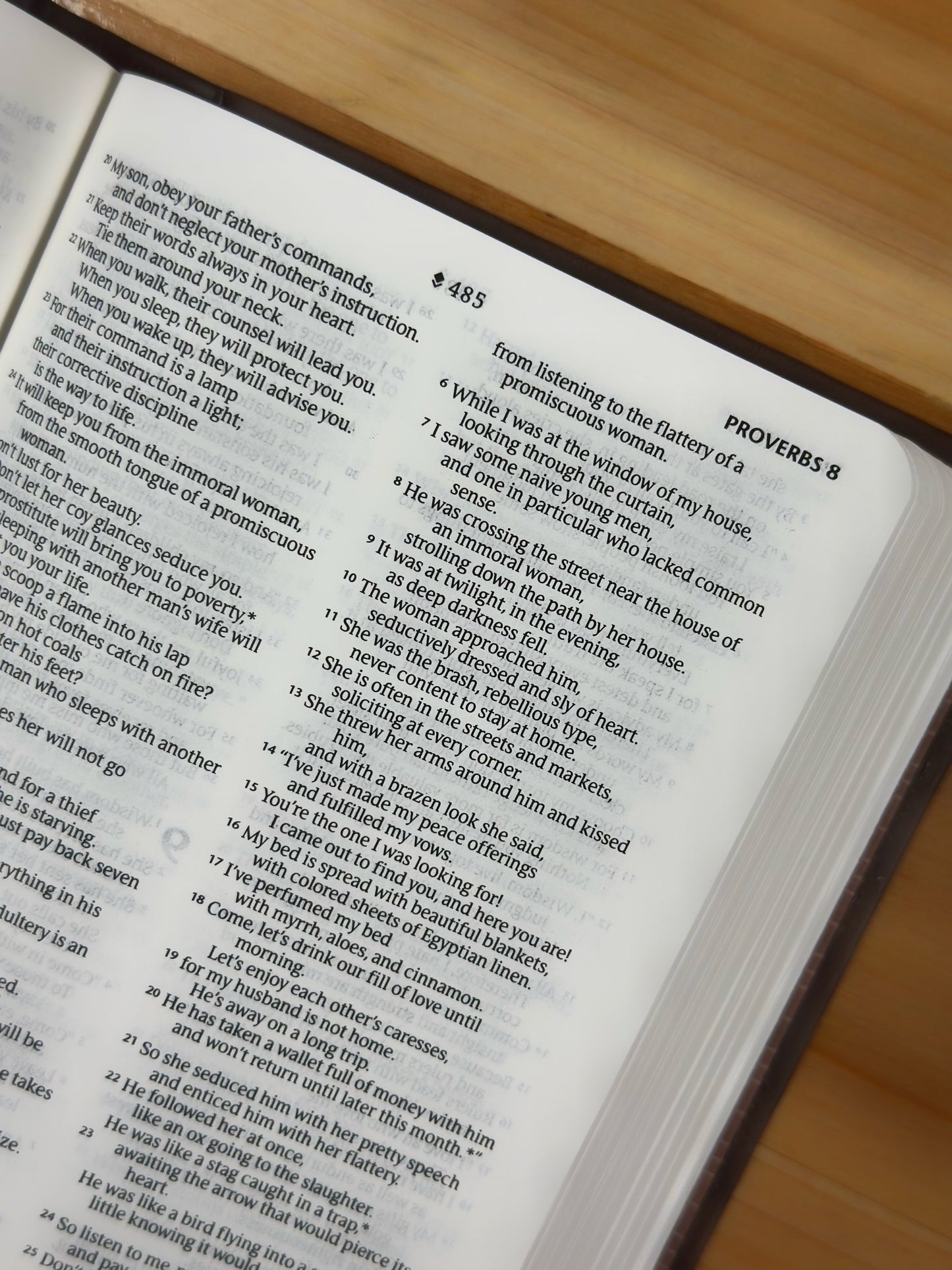 Holy Bible NLT Dark Brown - Small