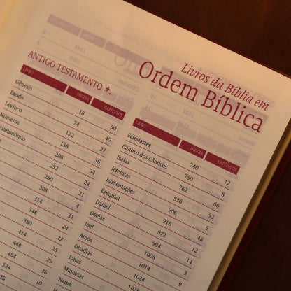 Bíblia Mulheres NVT