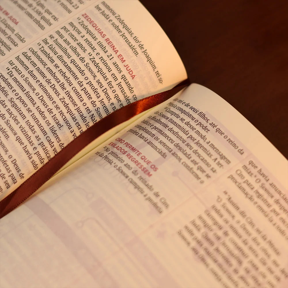 Bíblia Mulheres NVT