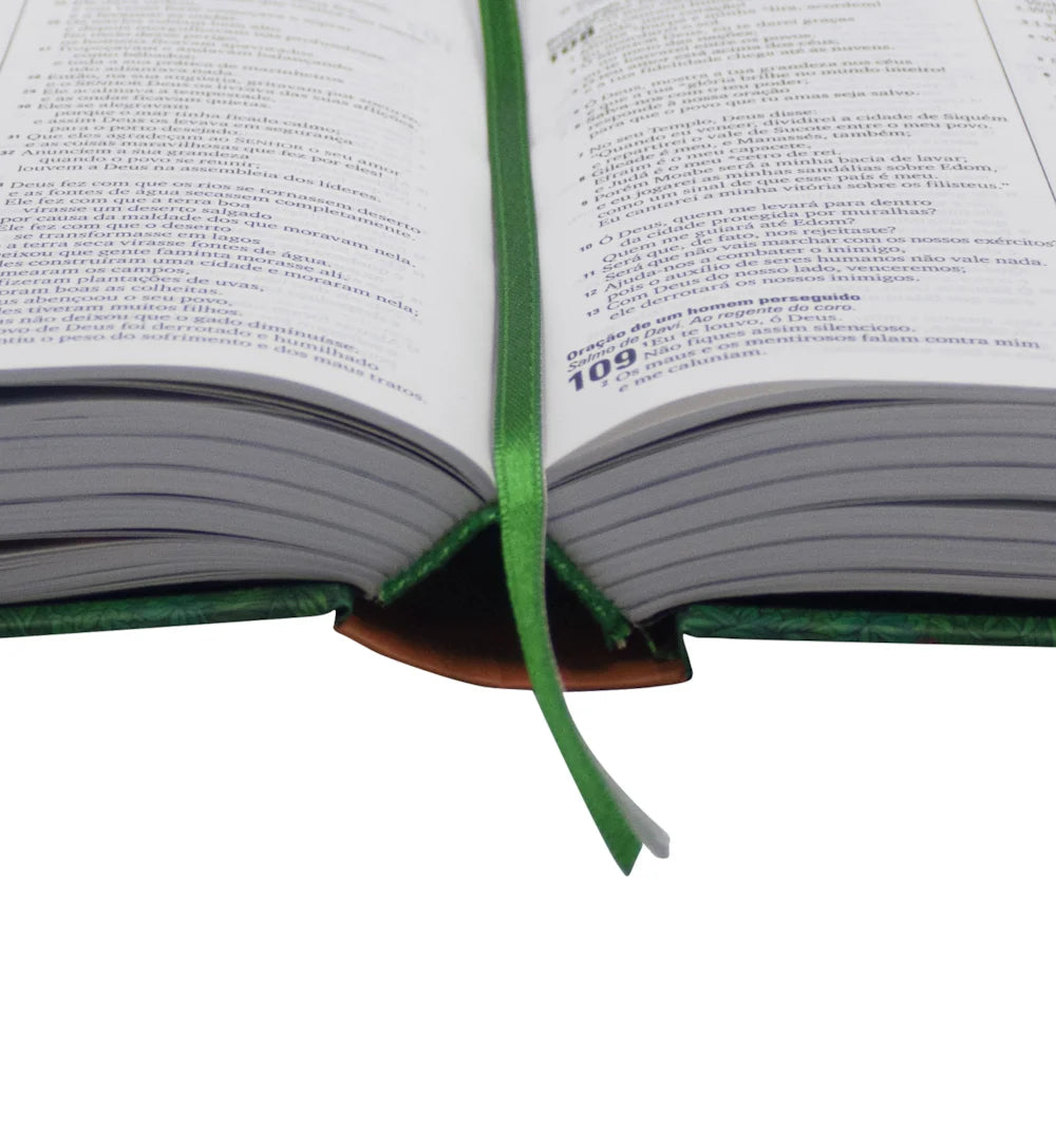 Bíblia Bilíngue NTLH