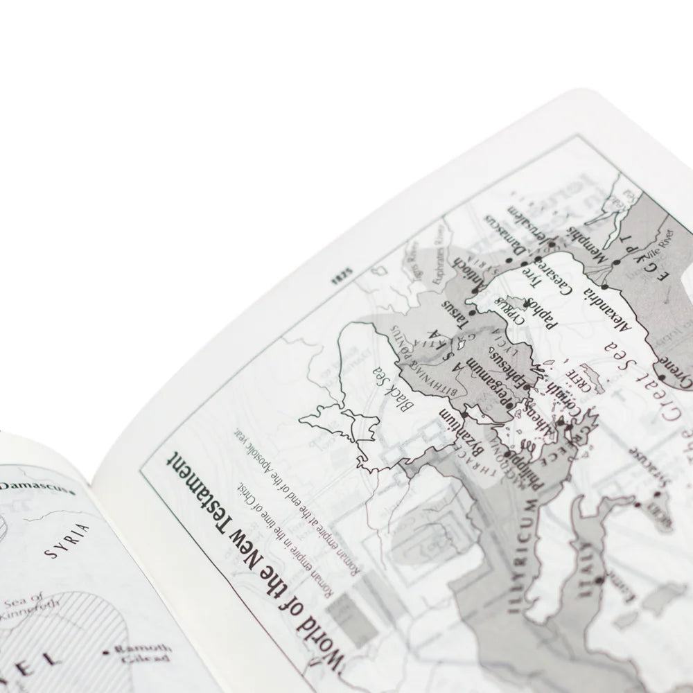 Bíblia Bilíngue NAA