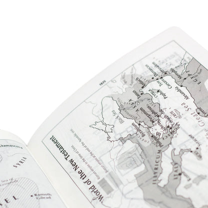 Bíblia Bilíngue NAA