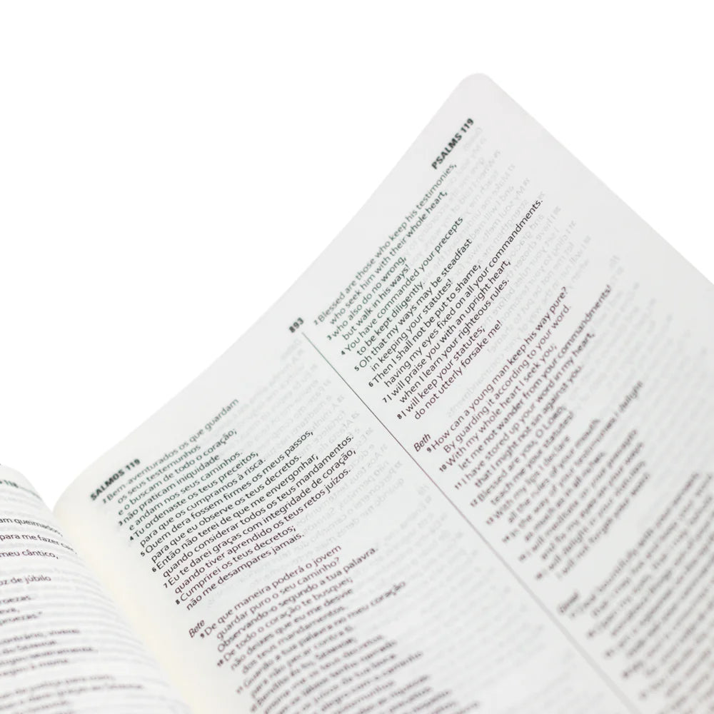 Bíblia Bilíngue NAA