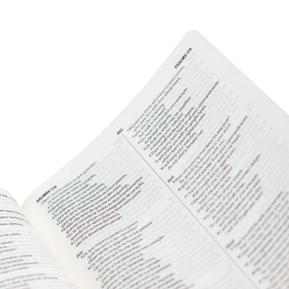 Bíblia Bilíngue NAA