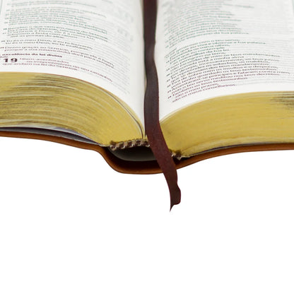 Bíblia Bilíngue NAA