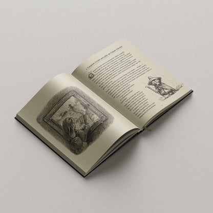 O Pequeno Peregrino Ilustrado