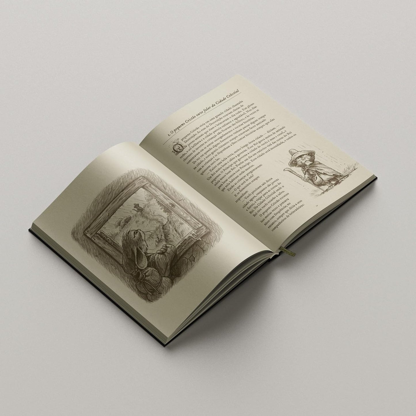 O Pequeno Peregrino Ilustrado