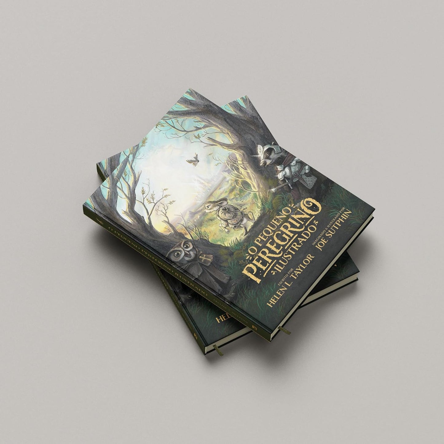 O Pequeno Peregrino Ilustrado