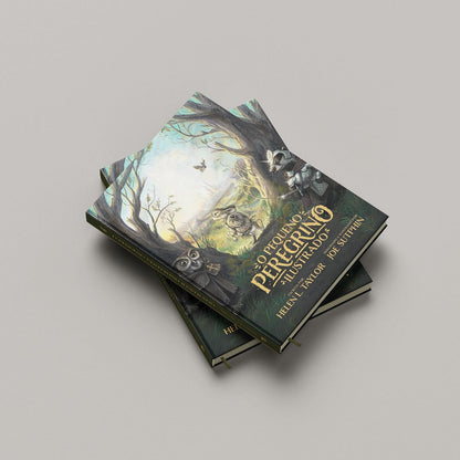 O Pequeno Peregrino Ilustrado