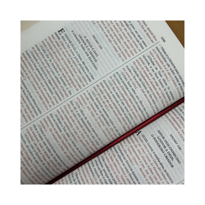 Expositor's Study Bible