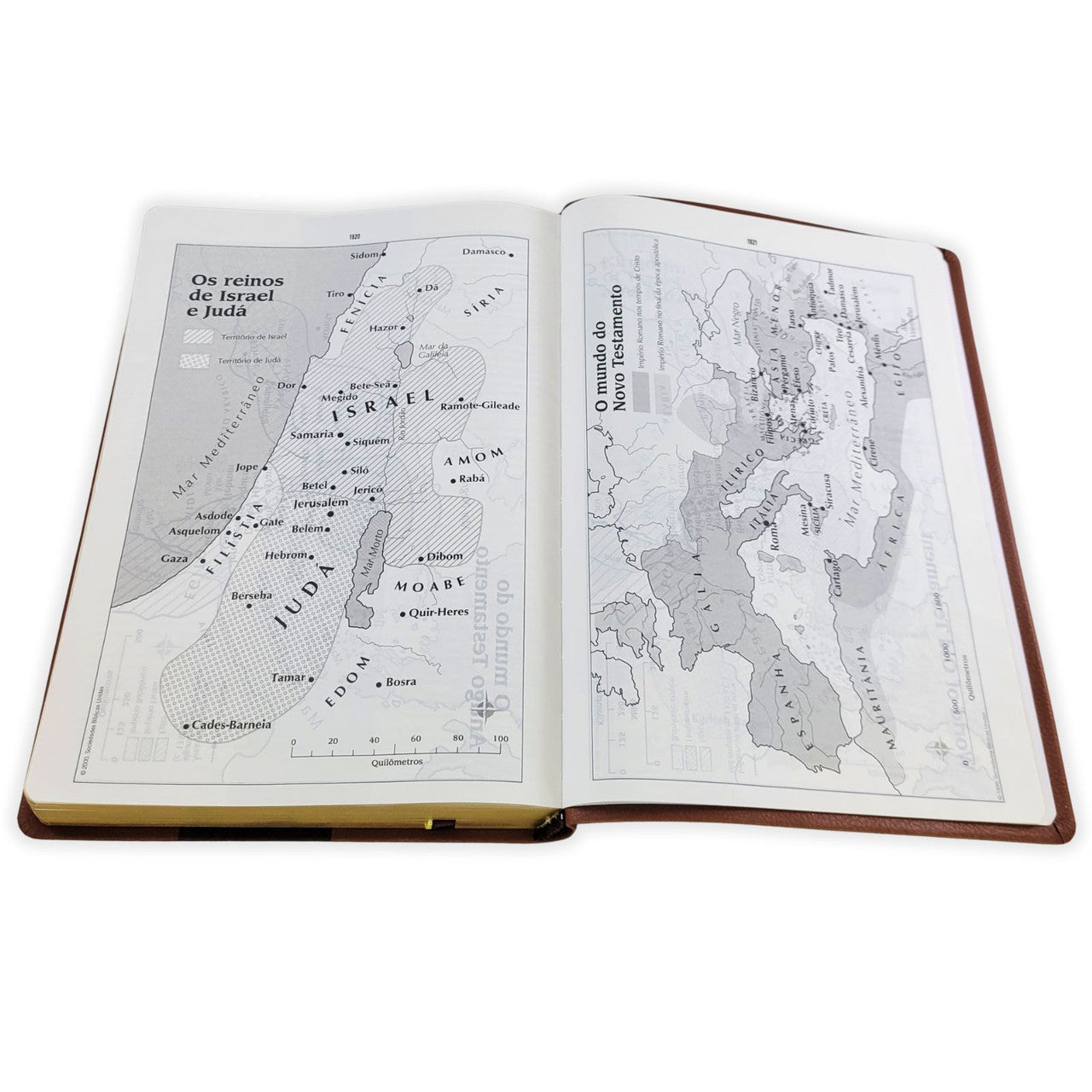 Bíblia Trilíngue Português English Español (NAA ESV RVC)
