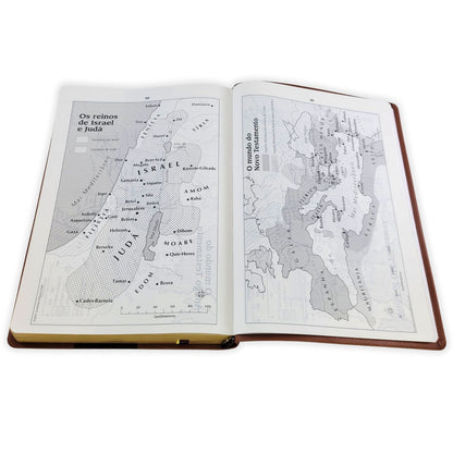 Bíblia Trilíngue Português English Español (NAA ESV RVC)