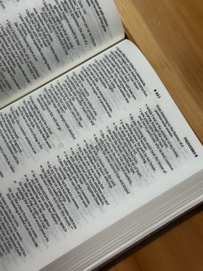 Holy Bible NLT Dark Brown - Small