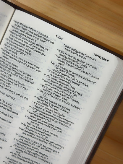 Holy Bible NLT Dark Brown - Small
